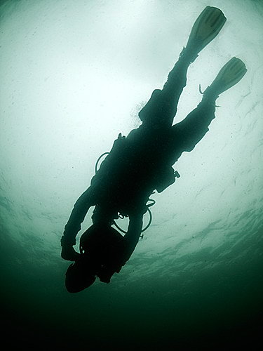 Silhouette
