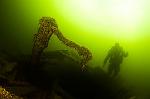 Rudder